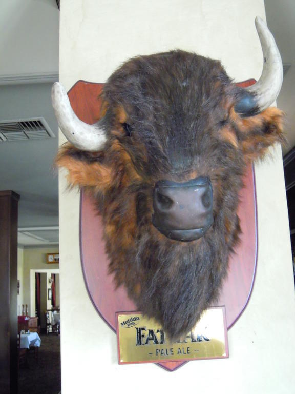 Moondyne Joe'S Hotel ฟรีแมนเทิล ภายนอก รูปภาพ